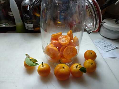 Liqueur de calamondin