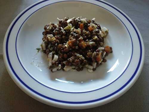 Salade de lentilles aux oignons nouveaux et vinaigrette épicée