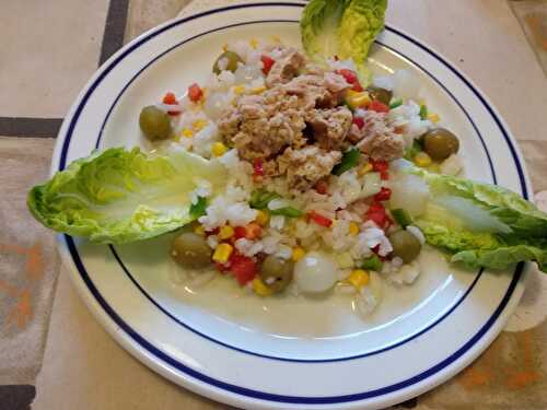 Salade de riz au thon et aux 2 poivrons et maïs