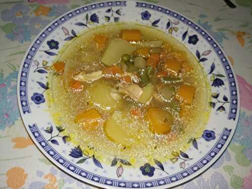 Soupe de légumes au poulet et au riz - Les marmites de Marphyl