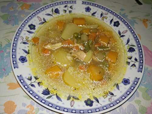 Soupe de légumes au poulet et au riz