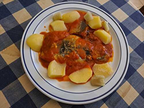 Filets de maquereaux à la sauce tomate maison