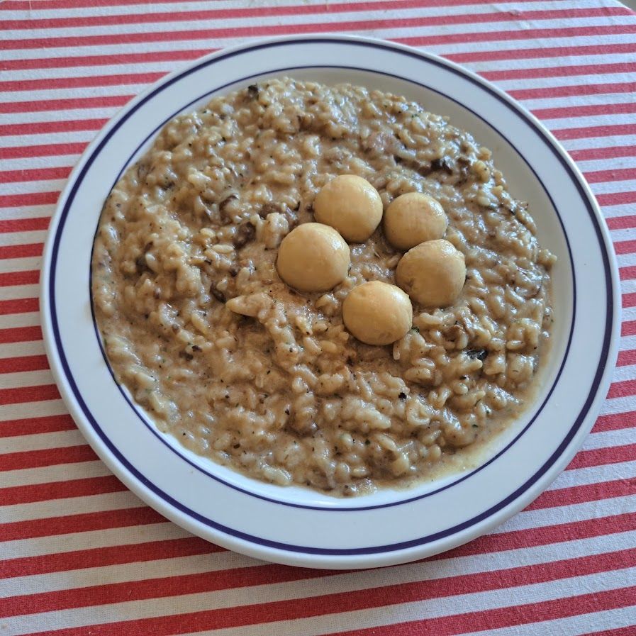 Risotto aux champignons des bois
