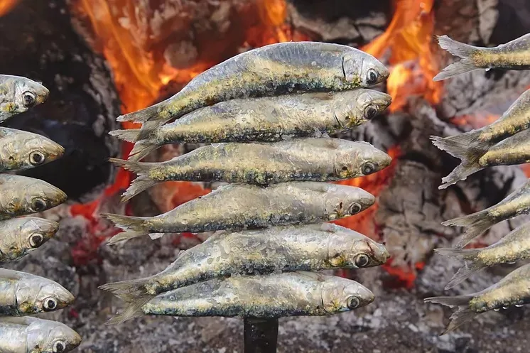 Brochettes de sardines à la braise - Espeto de sardinas