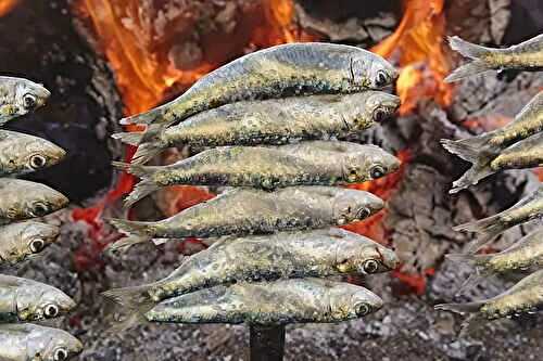 Brochettes de sardines à la braise - Espeto de sardinas