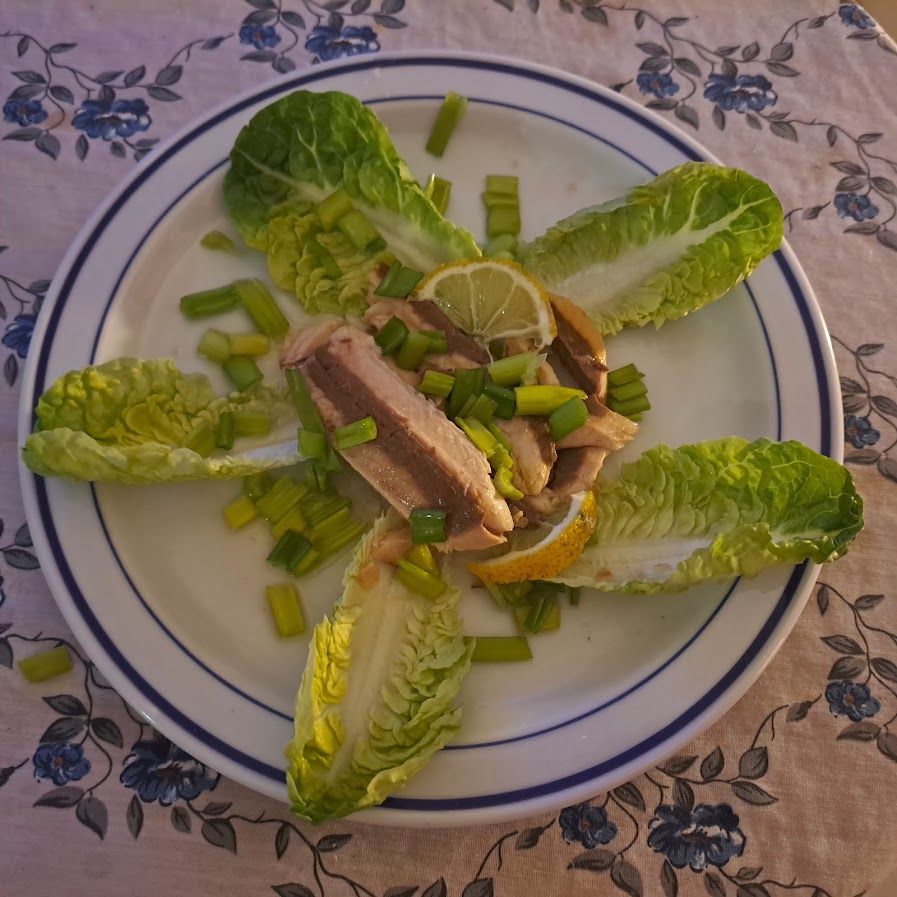 Filets de maquereau à l’huile d’olive faits maison