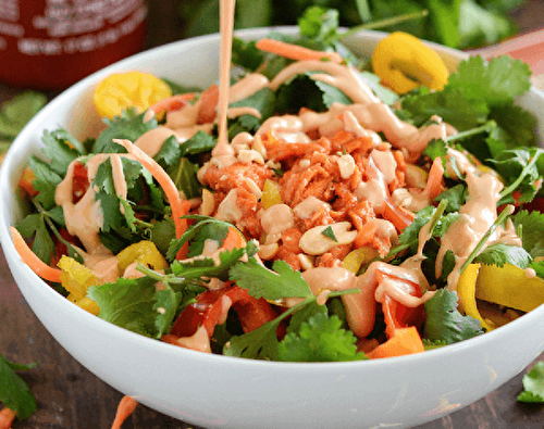 Cette salade de saumon épicée à la thaïlandaise est un pur délice (Super facile à faire!)