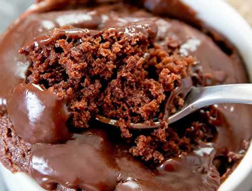 Le brownie au Nutella et beurre d'arachides dans une tasse (Mug Cake!)