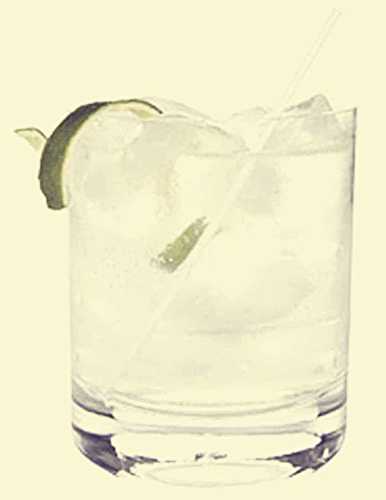 Recette de Gin Tonic toute simple et rapide à faire