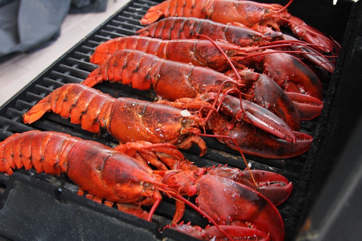 Homard sur le BBQ