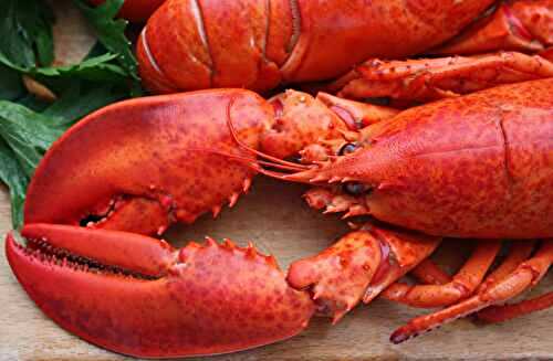 Trois techniques faciles pour cuire le homard + le temps de cuisson