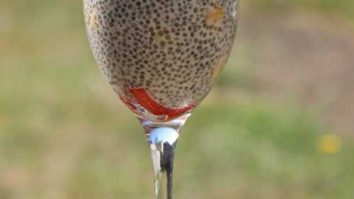 Pudding lait d?amandes, graines de chia et fraises