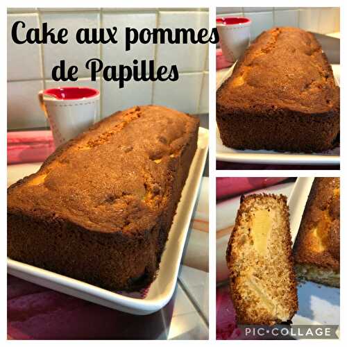 Cake aux pommes de Papilles