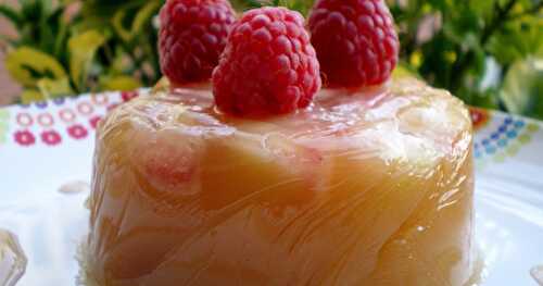 DÔME DE FRUITS D’ÉTÉ EN GELÉE (AGAR-AGAR)