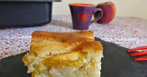 GÂTEAU CROUSTI-FONDANT A LA PÊCHE