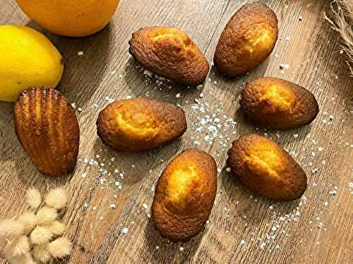 Madeleines de Claire Heitzlerg