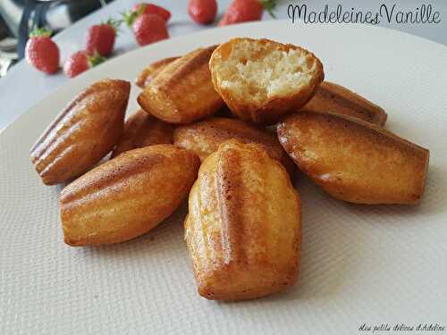 Madeleines Vanille