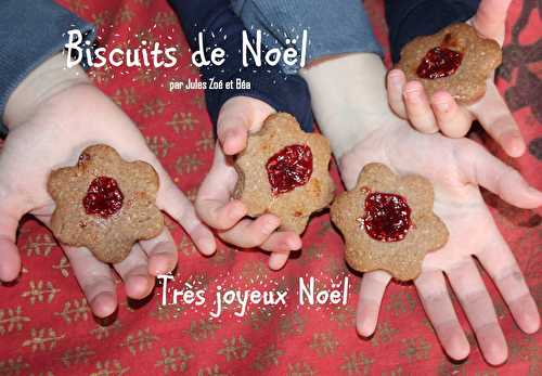 Biscuits de Noël aux épices et à la  framboise - Les petits plats de Béa