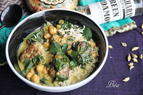 Boulettes de boeuf à l'indienne - Balade indienne au Rajastan