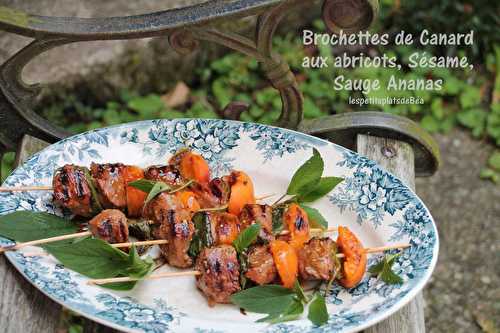 Brochettes de canard aux abricots,  sésame et sauge ananas