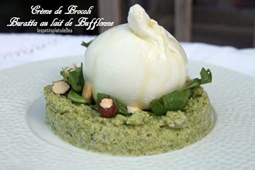 Crème de brocoli pour une burrata au lait de bufflonne