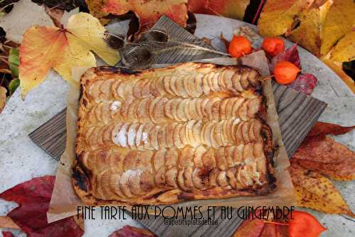 Fine tarte aux pommes et au gingembre - pâte feuilletée maison  recette rapide - Les petits plats de Béa