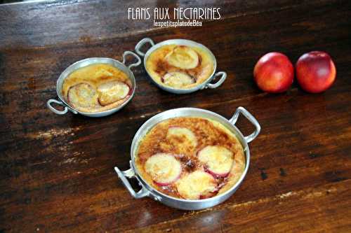 Flan aux nectarines