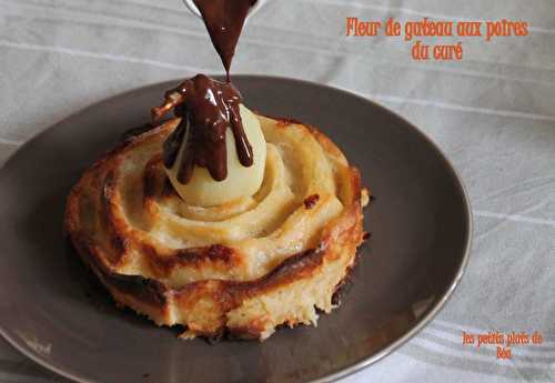 Fleur de gateau aux poires du curé sauce au chocolat - Région nord (6) la tranchée d'Arenberg en automne