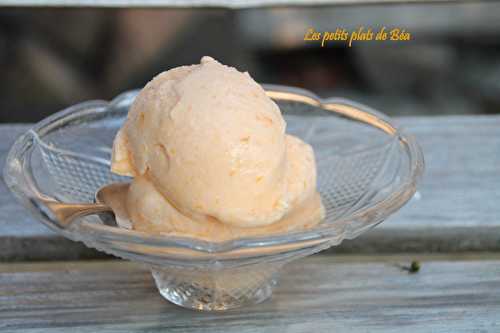 Glace aux abricots