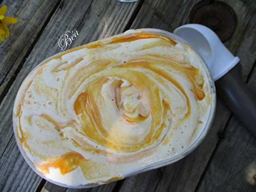 Glace marbrée vanille et abricots rôtis - Les petits plats de Béa