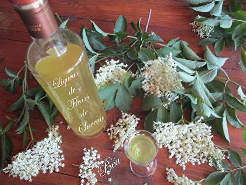 Liqueur de fleurs de sureau