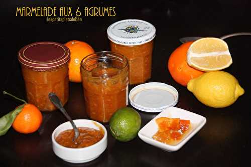Marmelade aux 6 agrumes - Les petits plats de Béa