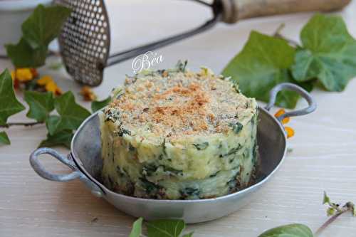 Parmentier boeuf et fanes de radis