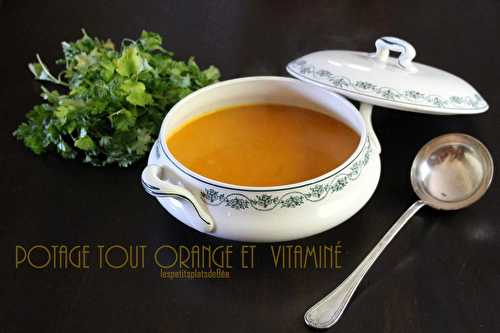 Potage tout  orange et vitaminé