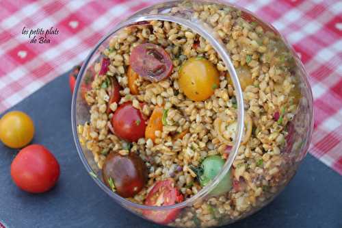 Salade de petit épeautre