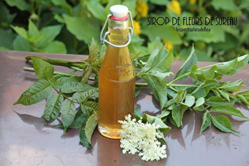 Sirop de fleurs de sureau