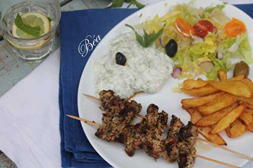 Slouvaki et tzatziki- balade grecque, le port de Rhodes