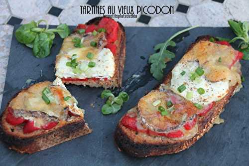 Tartine au vieux picodon
