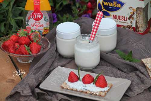 Yaourts maison au citron pour un petit déjeuner gourmand