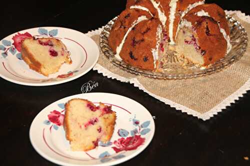 Bundt cake aux cranberries fraîches et chocolat blanc