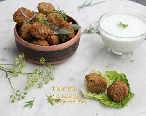 Falafels à la sauge