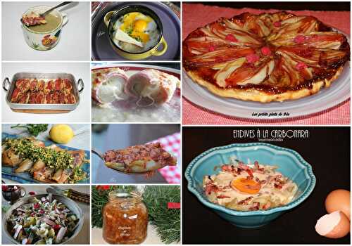 10 recettes avec des endives