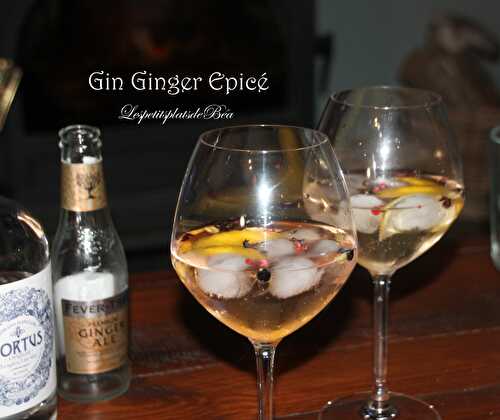 Gin ginger tonic épicé