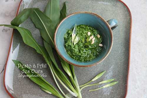 Pesto à l'ail des ours - Balade dans les Flandres