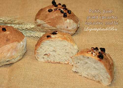 Petits pains au grand épeautre et épeautre soufflé