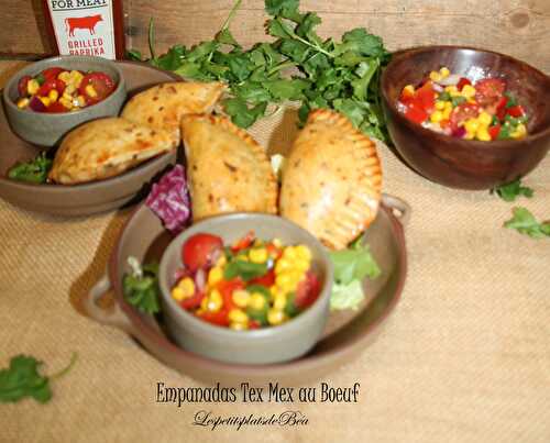 Empanadas tex mex au boeuf