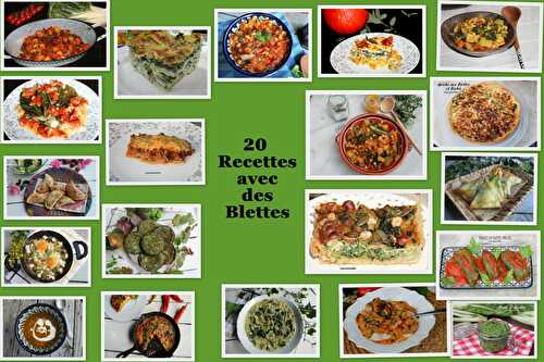 20 recettes avec des blettes