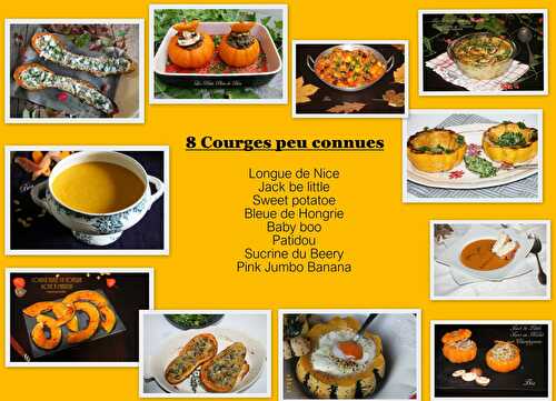 8 Courges peu connues