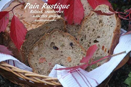 Pain rustique aux raisins, cranberries et noisettes grillées