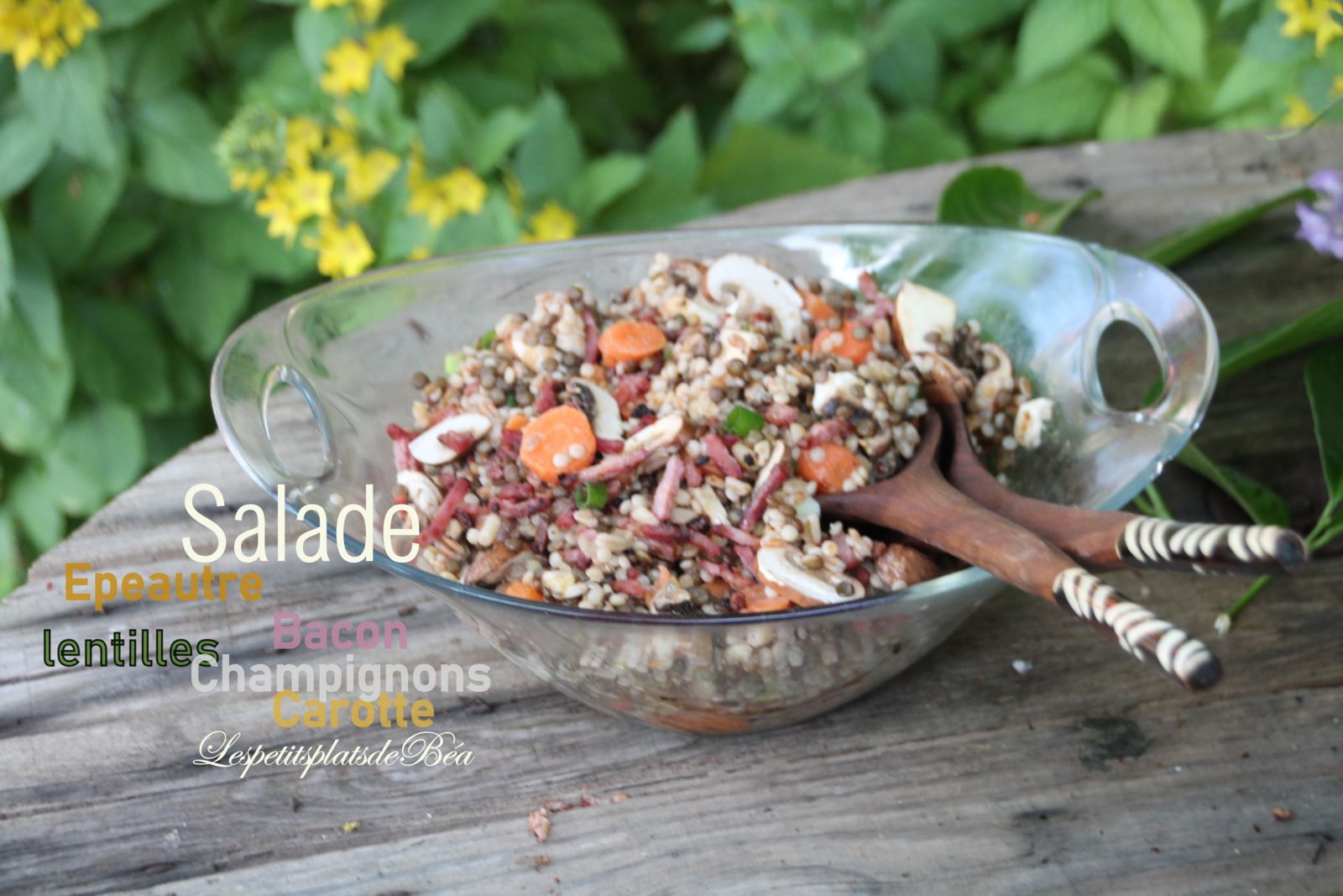 Salade d'épeautre, lentilles, carottes, champignons et bacon